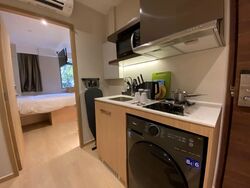 Mount Elizabeth Link (D9), Condominium #585130711